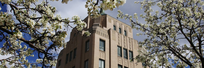 Information Technologies Director