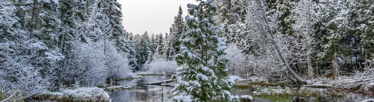 Barron County