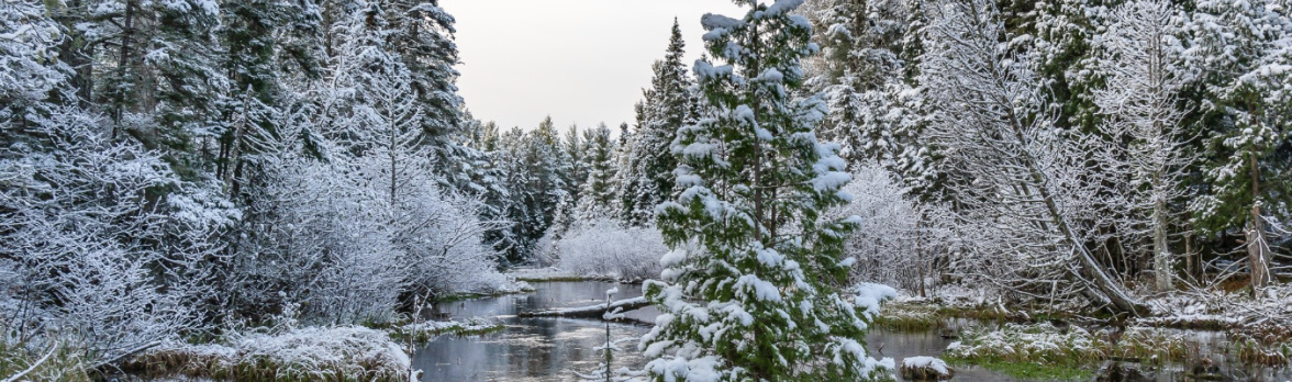 Barron County