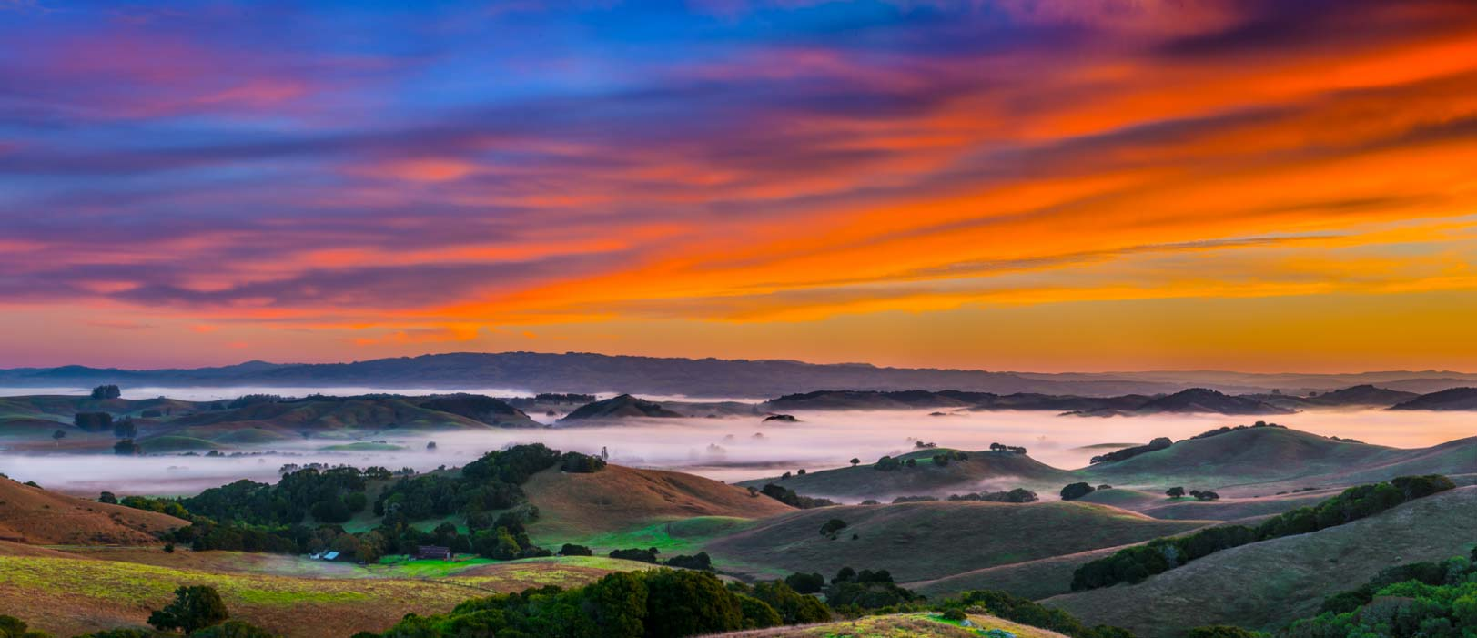 County of Sonoma